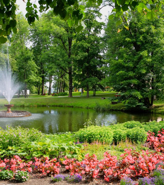 park-and-fountain